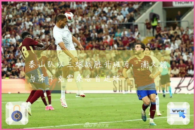 泰山队以三球战胜升班马，谢文能与泽卡克雷桑各自进球