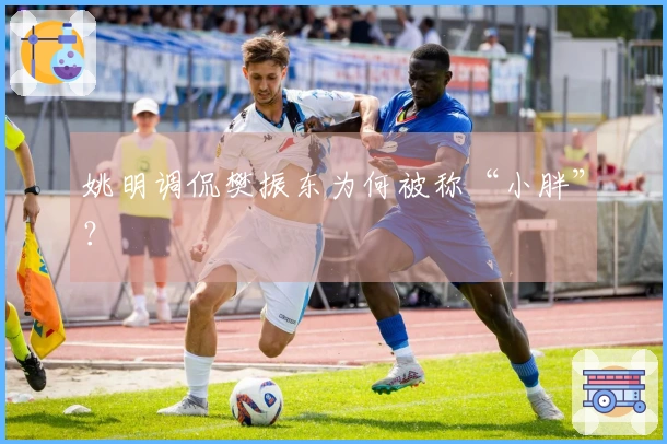 姚明调侃樊振东为何被称“小胖”？