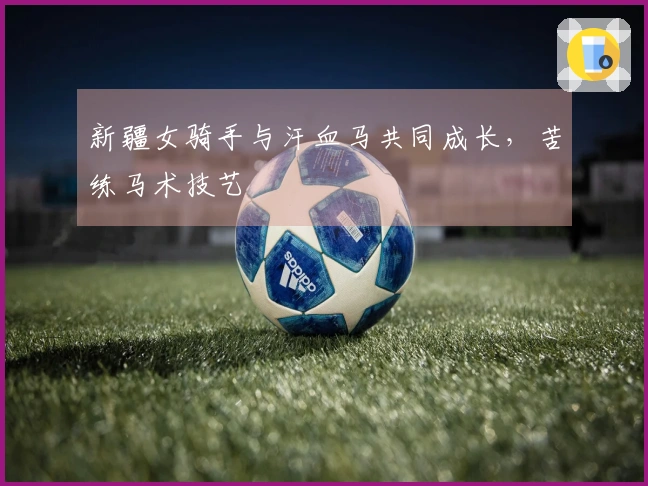新疆女骑手与汗血马共同成长，苦练马术技艺