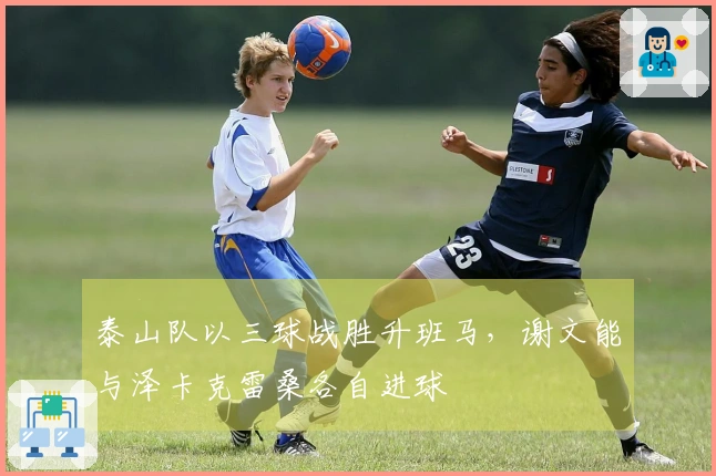 泰山队以三球战胜升班马，谢文能与泽卡克雷桑各自进球