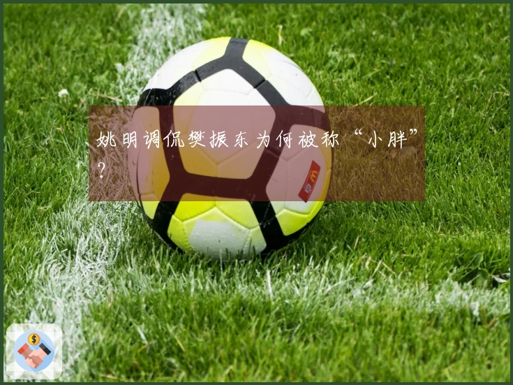 姚明调侃樊振东为何被称“小胖”？