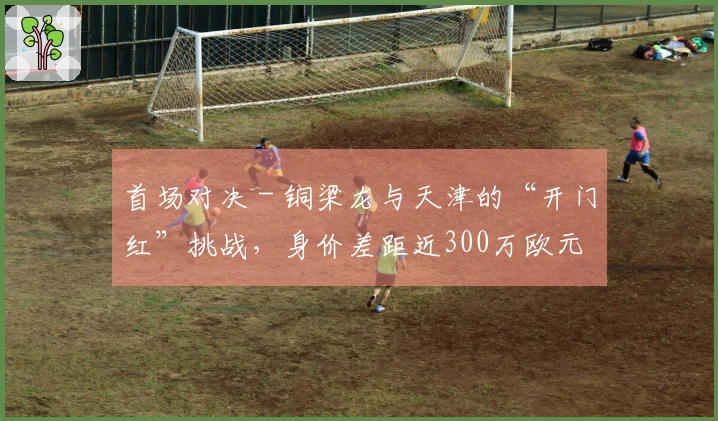 首场对决 - 铜梁龙与天津的“开门红”挑战，身价差距近300万欧元